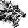 Аватар для wolf