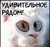 Аватар для gokTop
