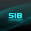 Аватар для S1B