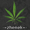 Аватар для Zhenek