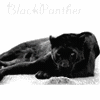 Аватар для BlackPanther